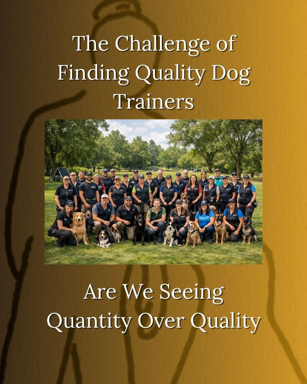 Quantity Over Quality › K9 Observer Group of dog trainers with their dogs posing in a park, overlaid with the title about finding quality dog trainers and the question of quantity vs quality.