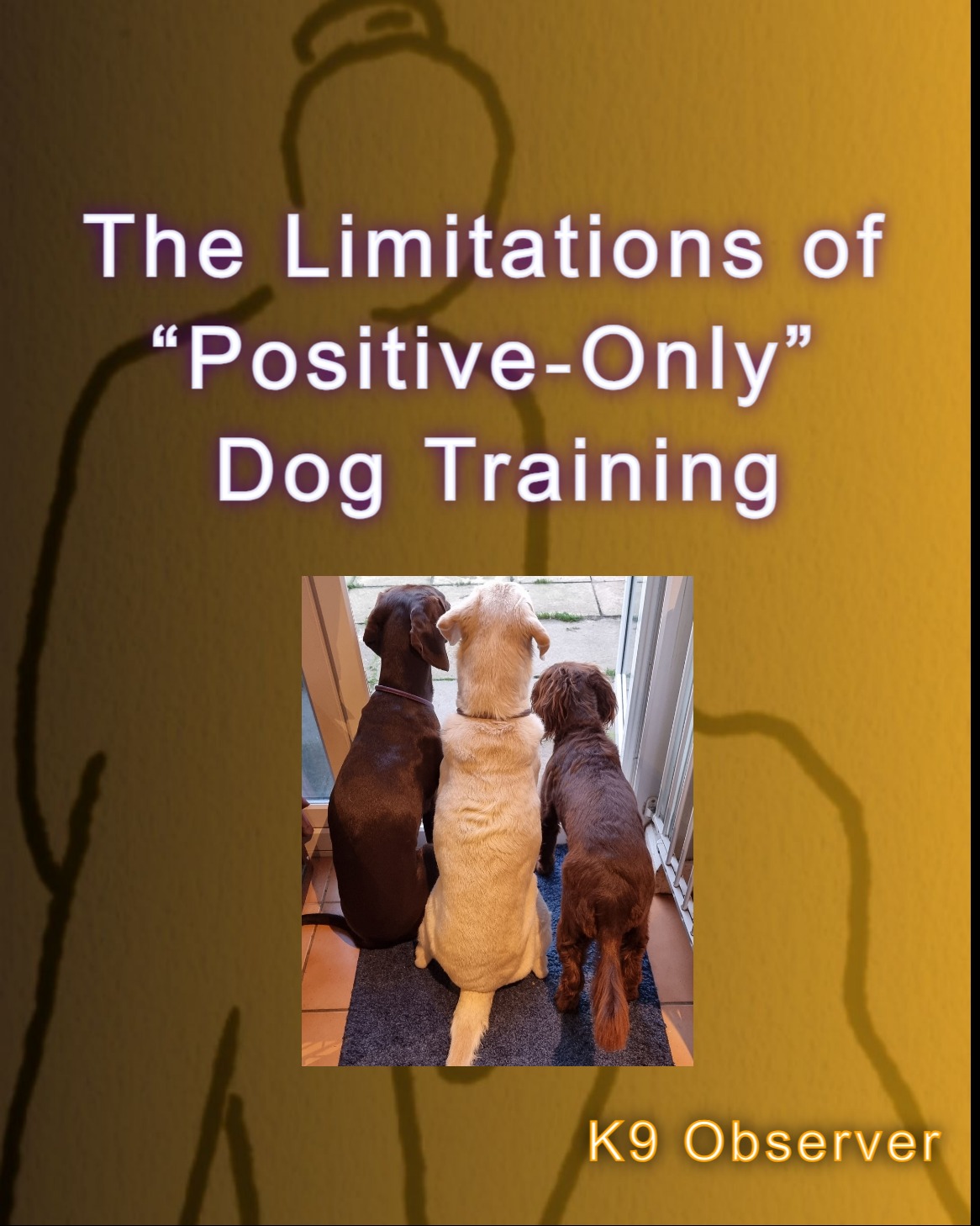 limitations-of-ff-trainingBcVuTBv › K9 Observer